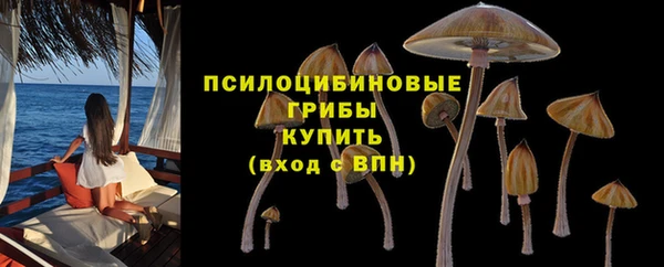 PSILOCYBIN Баксан